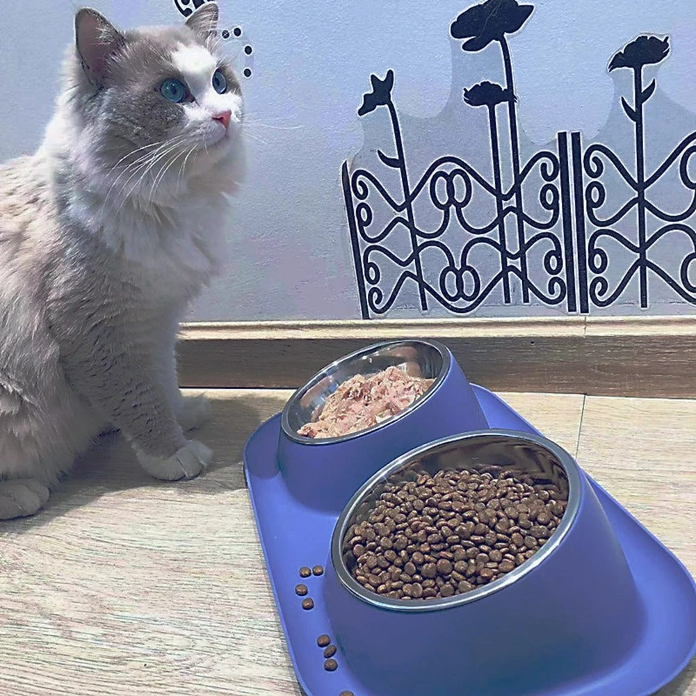 Gamelle pour chat I EasyFeed™