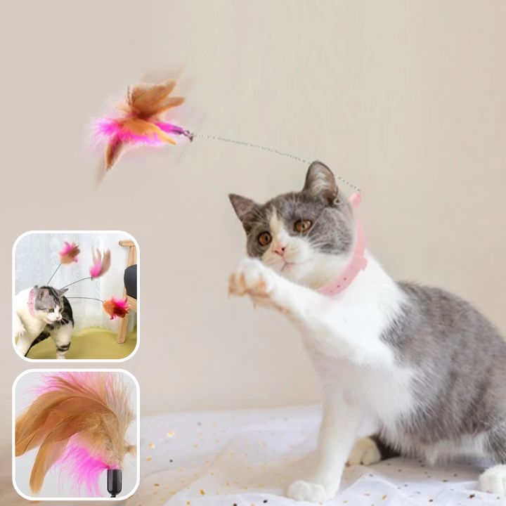 Jouet pour chat I Collier™