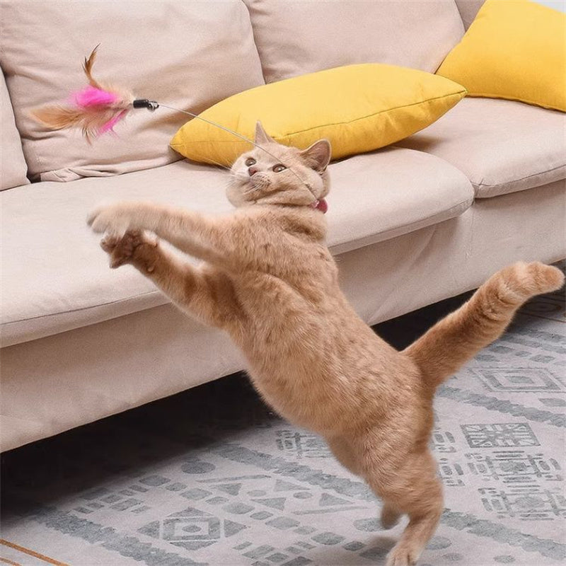 Jouet pour chat I Collier™