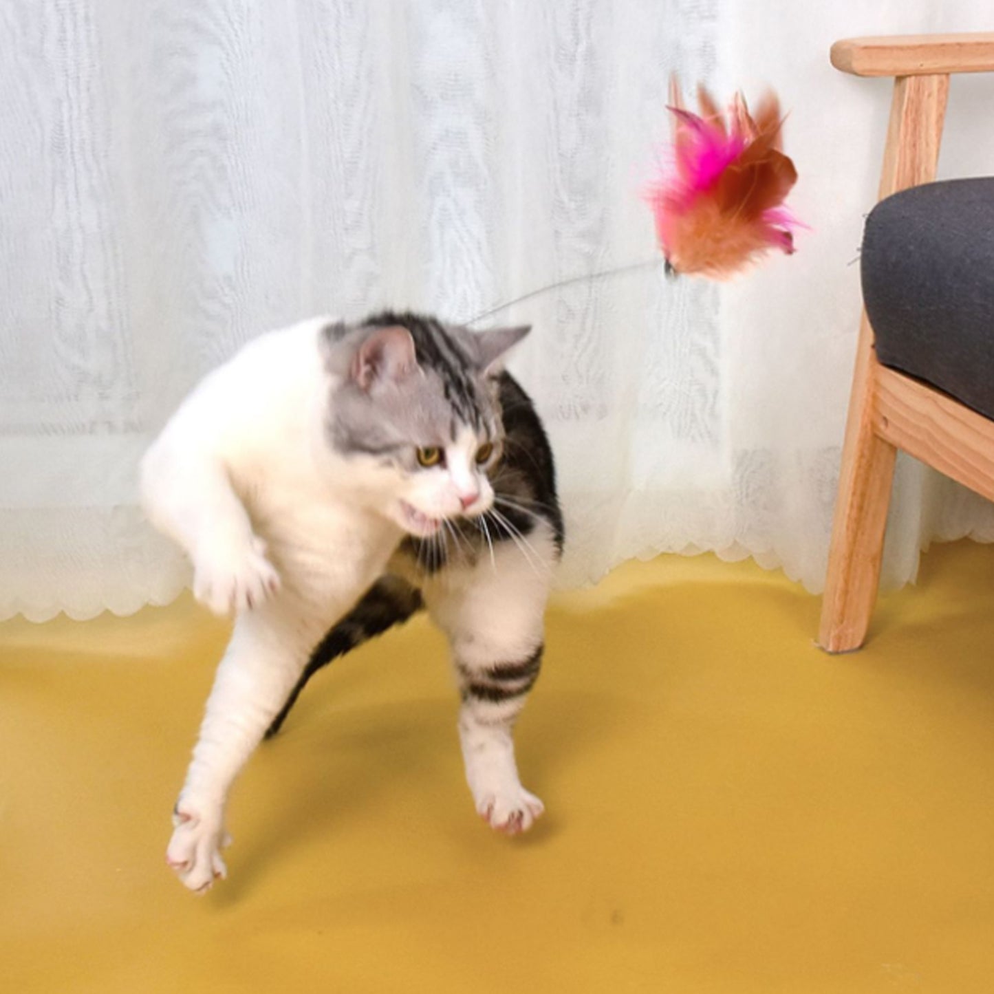 Jouet pour chat I Collier™