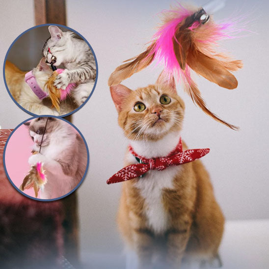 Jouet pour chat I Collier™