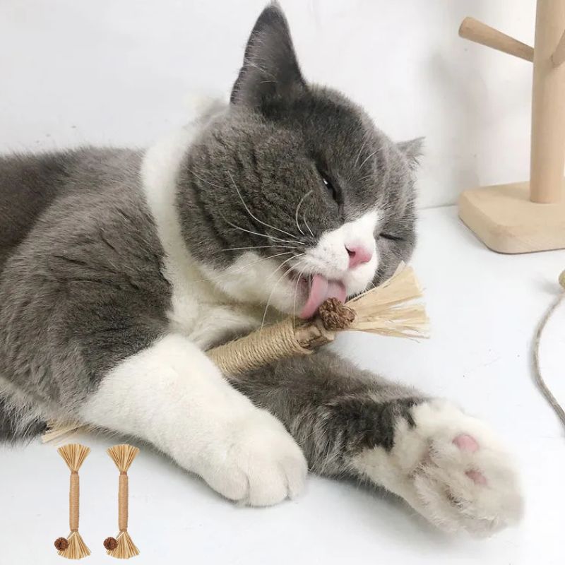 Jouet à mâcher I SweetHome™