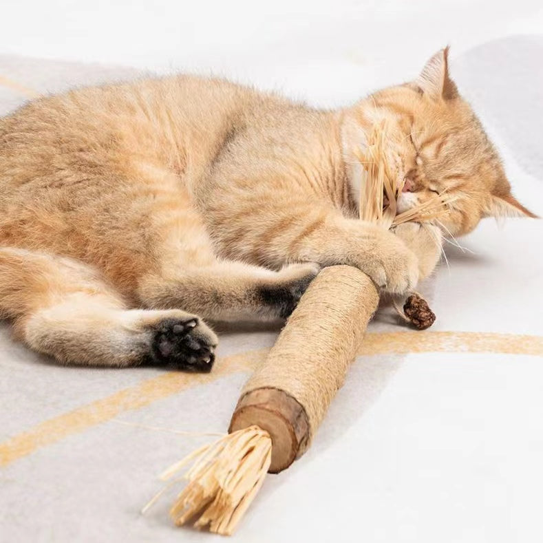 Jouet à mâcher I SweetHome™