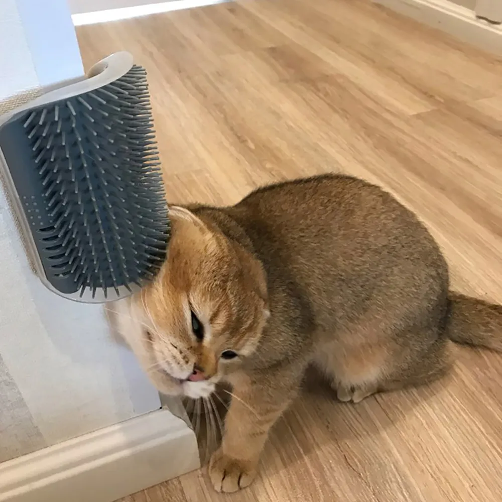 Brosse pour Chat I Autonettoyante™