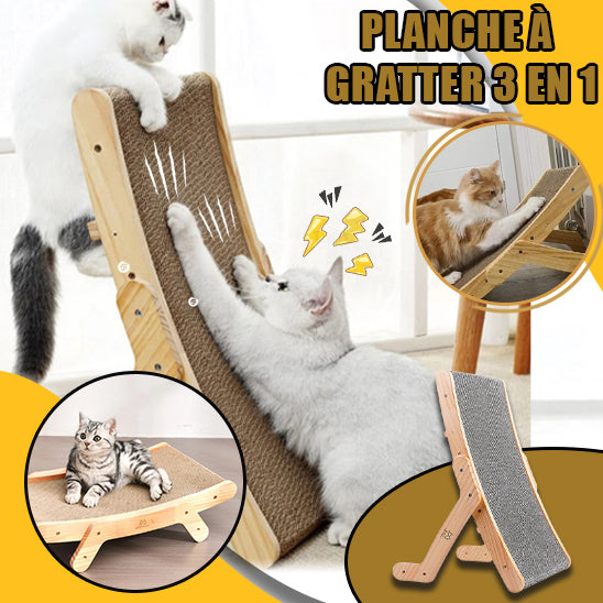 Griffoir chat I FunnyClaw™