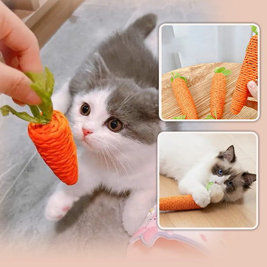 Jouet pour chat I Carrot™