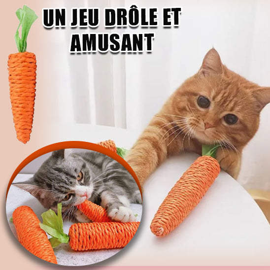 Jouet pour chat I Carrot™