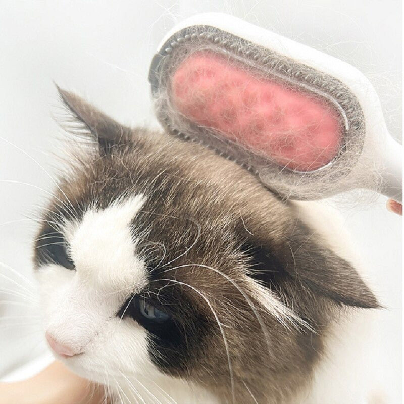 Brosse pour Chat I CatClean™