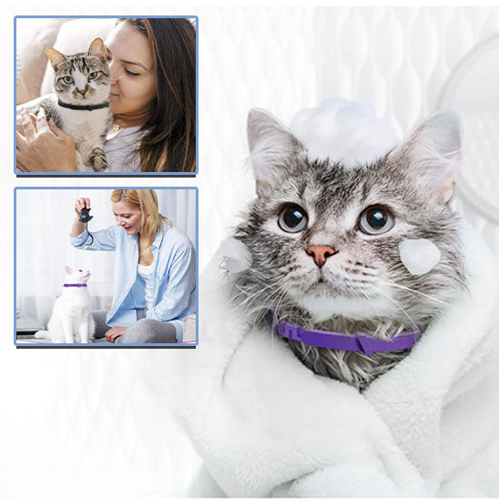 Collier pour Chat I  CalmEase™