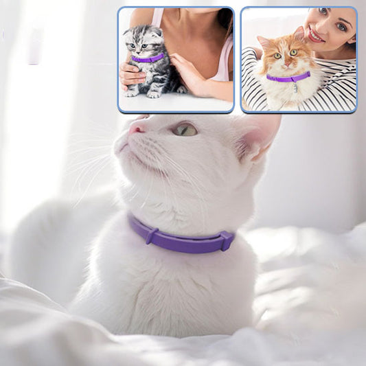 Collier pour Chat I  CalmEase™