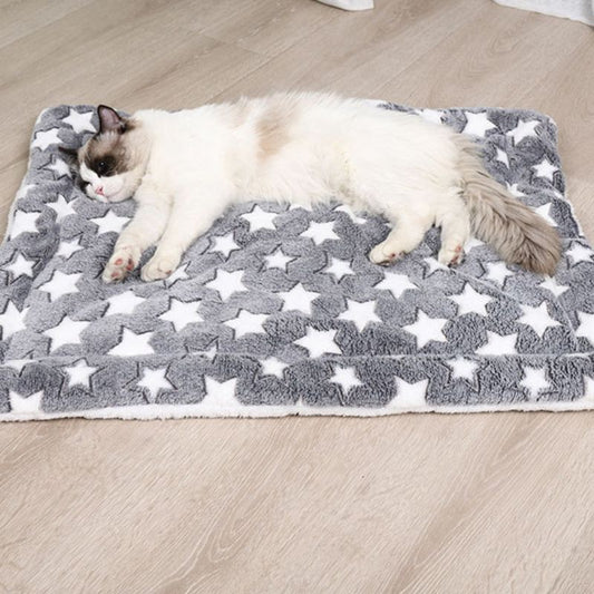 Coussin Chat I ComfyCat™