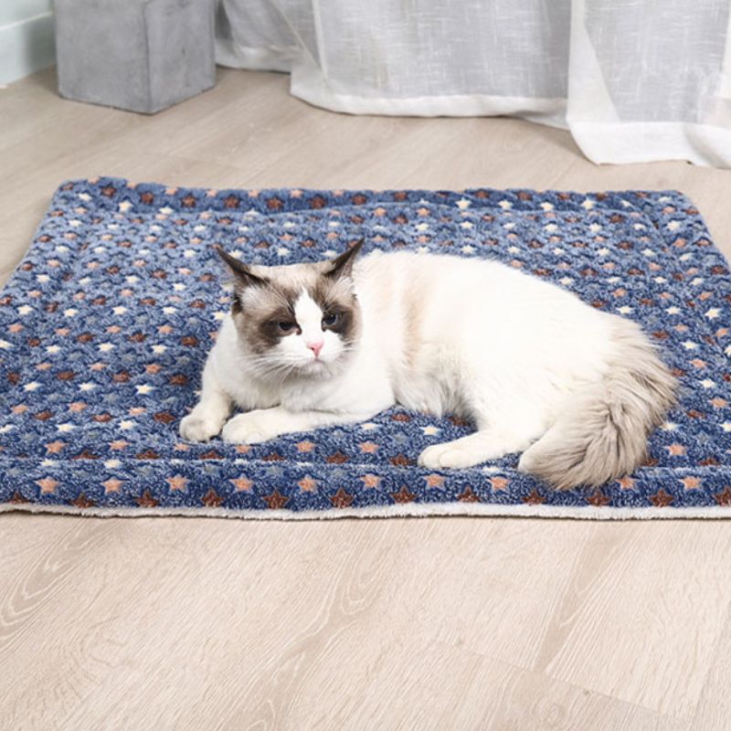 Coussin Chat I ComfyCat™