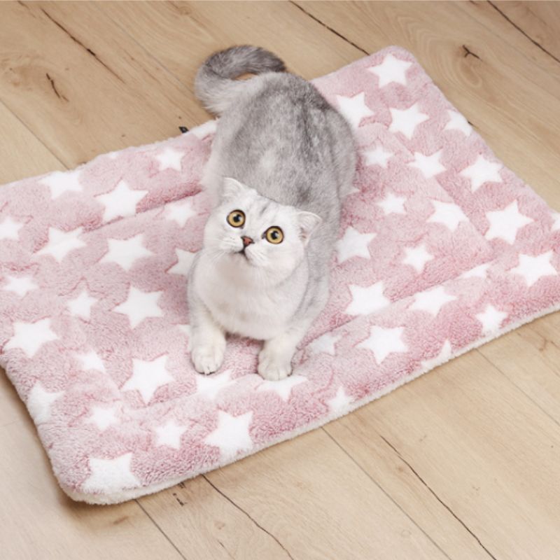 Coussin Chat I ComfyCat™