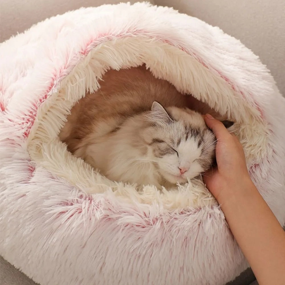 Coussin Chat I PurrPerfect™