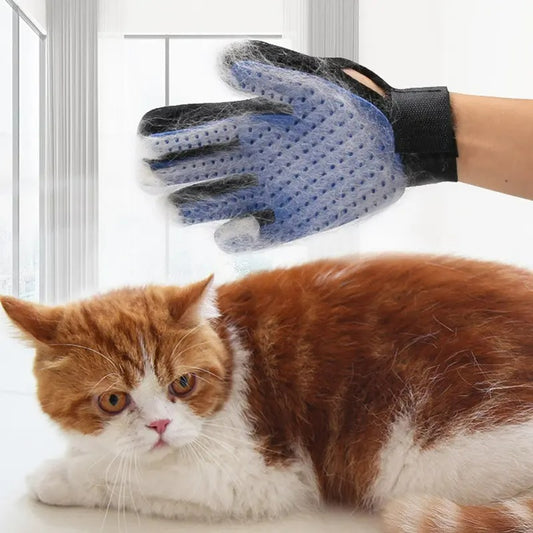 Gants pour Chat I Soft™