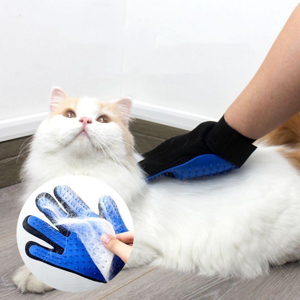 Gants pour Chat I Soft™