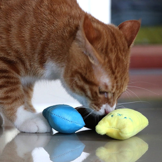 Jouet pour Chat I CatNip™