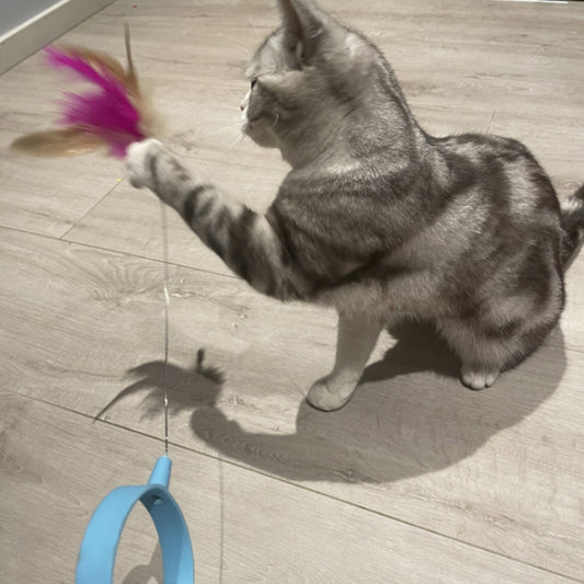 Jouet pour chat I Collier™