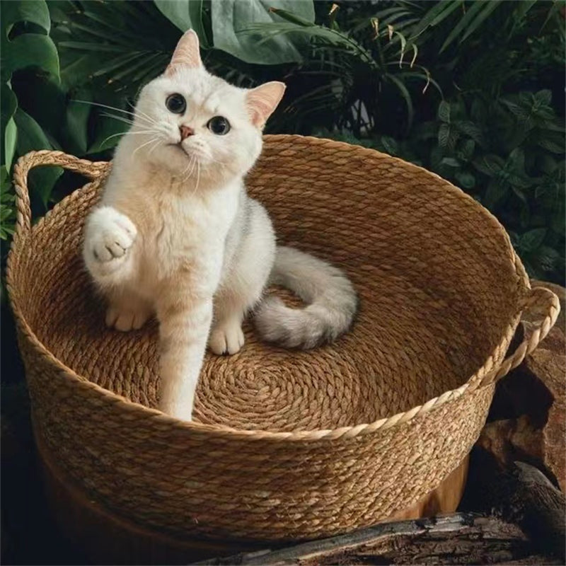 Panier pour Chat I Bliss™