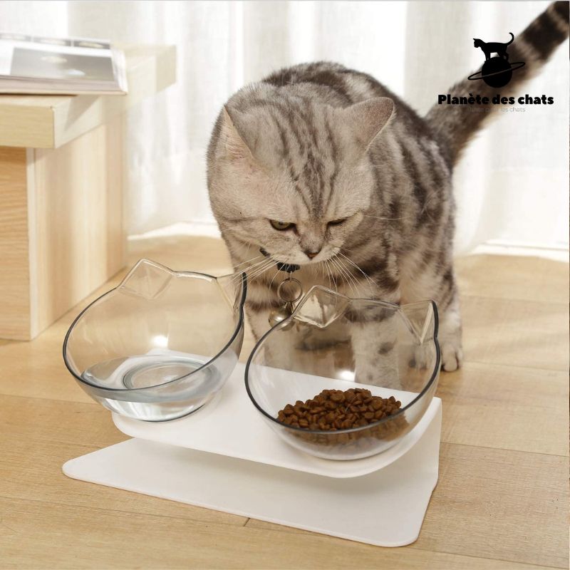 Bol Chat Orthopédique - Planète des chats