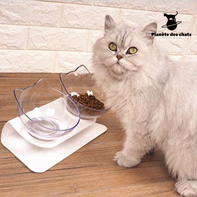 Bol Chat Orthopédique - Planète des chats