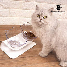 Charger l&#39;image dans la galerie, Bol Chat Orthopédique - Planète des chats
