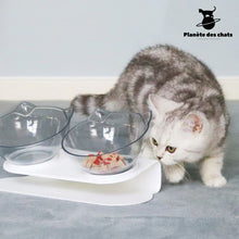 Charger l&#39;image dans la galerie, Bol Chat Orthopédique - Planète des chats
