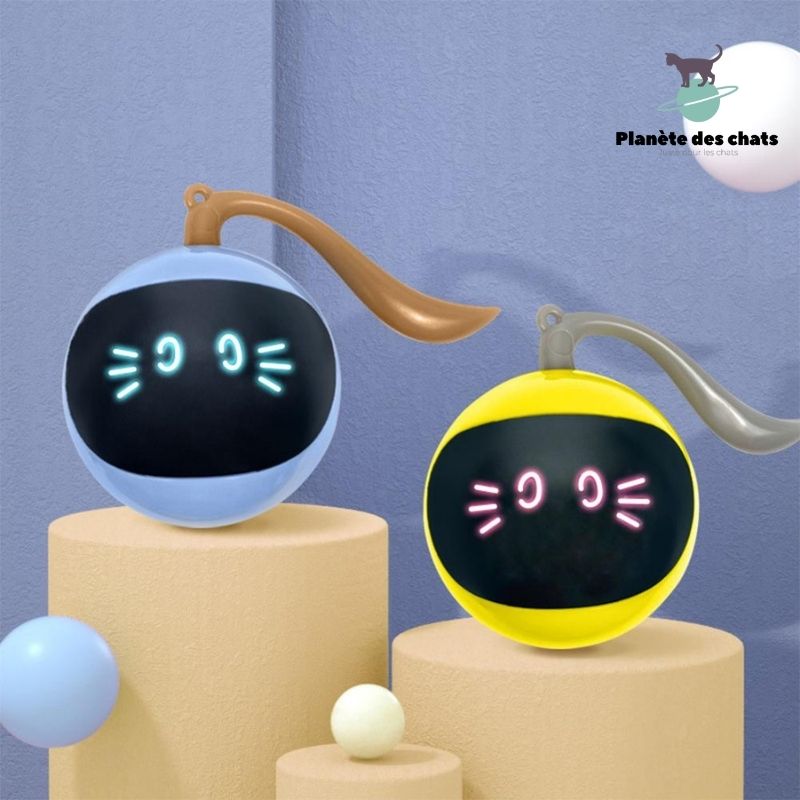 Jouet Fitness pour Chat - Planète des chats