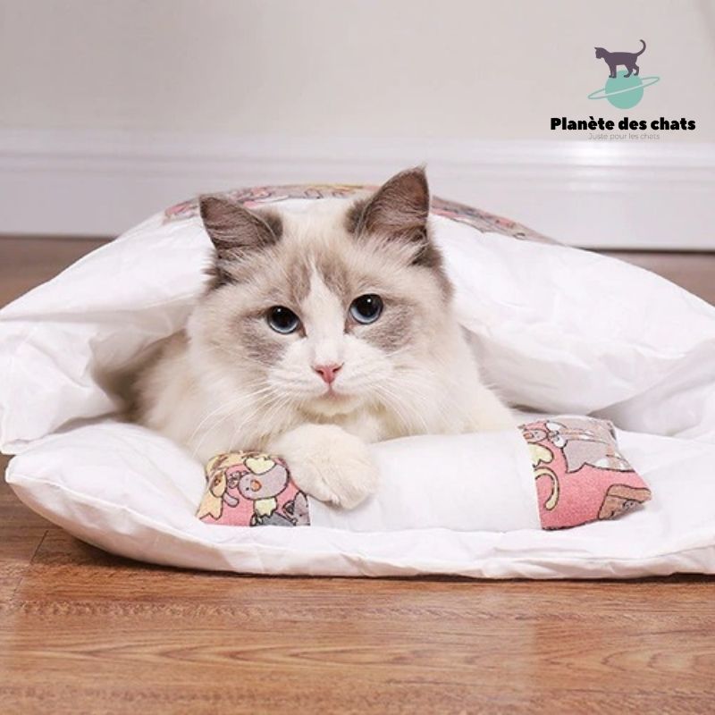 Sac de Couchage Quatre temps - Planète des chats