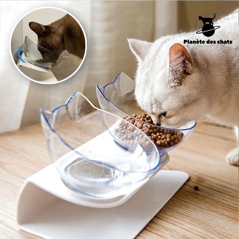 Bol Chat Orthopédique - Planète des chats