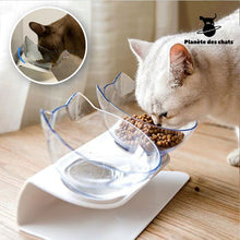 Charger l&#39;image dans la galerie, Bol Chat Orthopédique - Planète des chats
