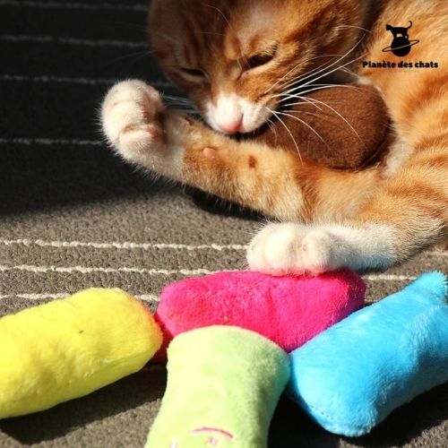 Jouet à mâcher pour chat - Planète des chats