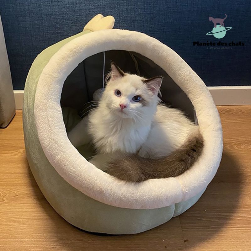 Panier Chat TopConfort™ - Planète des chats