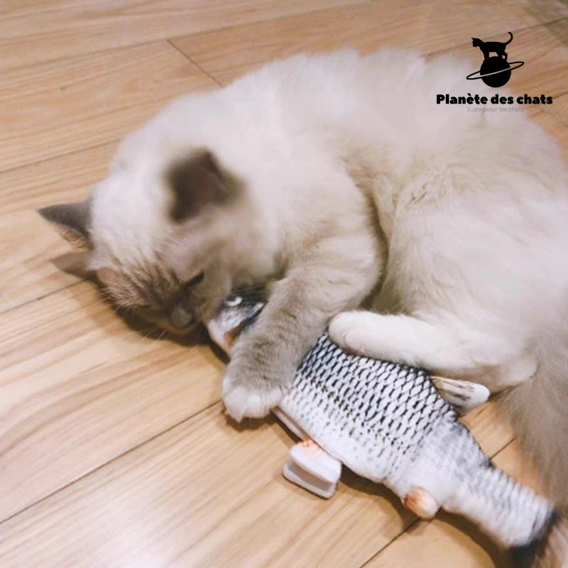 (PACK de 2) Poissons Dansants CatFish™ - Planète des chats