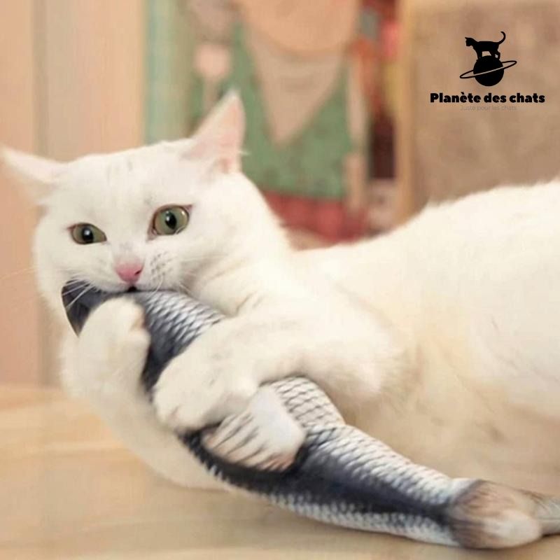 (PACK de 2) Poissons Dansants CatFish™ - Planète des chats