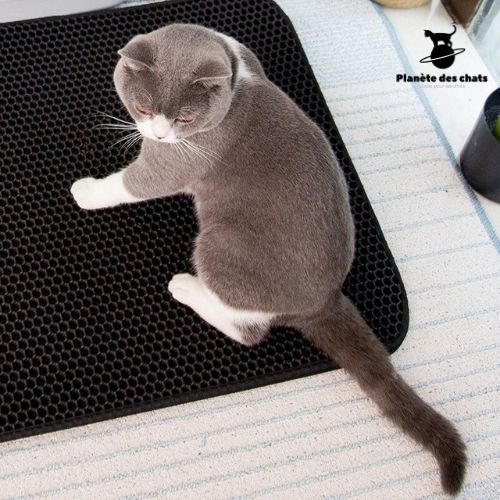 Tapis Litière Chat ultra Clean - Planète des chats