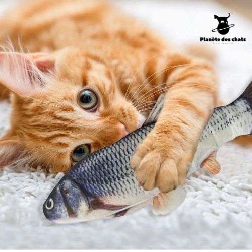 (PACK de 2) Poissons Dansants CatFish™ - Planète des chats