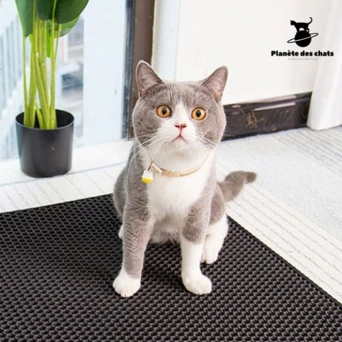 Tapis Litière Chat ultra Clean - Planète des chats
