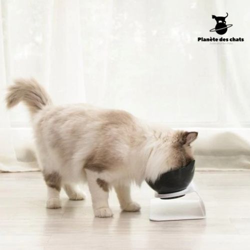 Bol Chat Orthopédique - Planète des chats