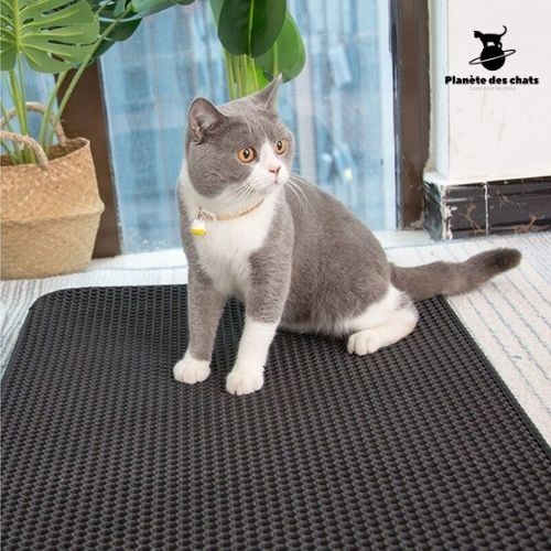 Tapis Litière Chat ultra Clean - Planète des chats