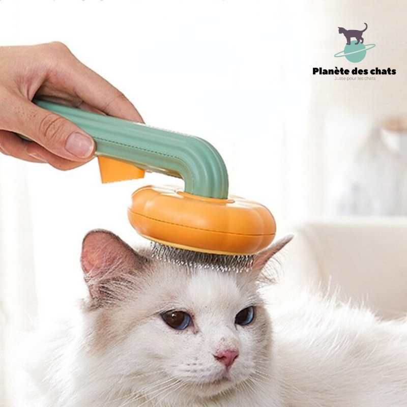 Brosse Toilettage et Massage CatBrush™ - Planète des chats
