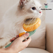 Charger l&#39;image dans la galerie, Brosse Toilettage et Massage CatBrush™ - Planète des chats
